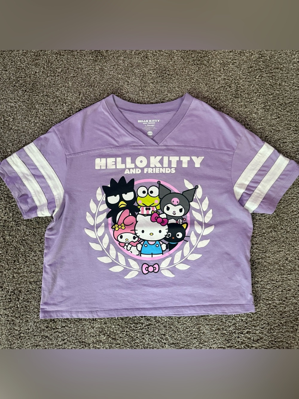 Hello Kitty & Friends Sanrio Purple Varsity Graphic T-Shirt XL Women’s